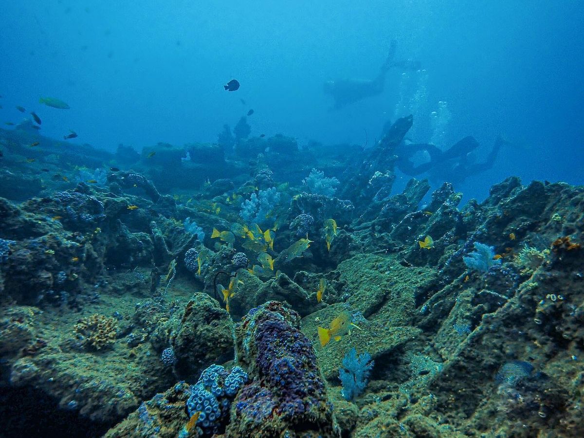 Diving & ocean adventure