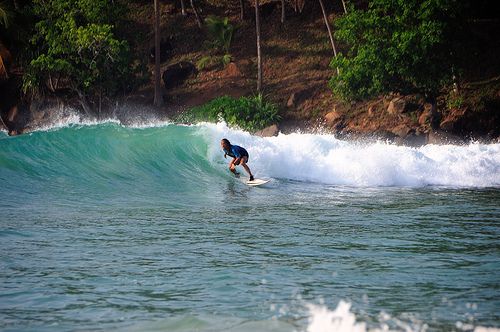 Surfing & wave culture