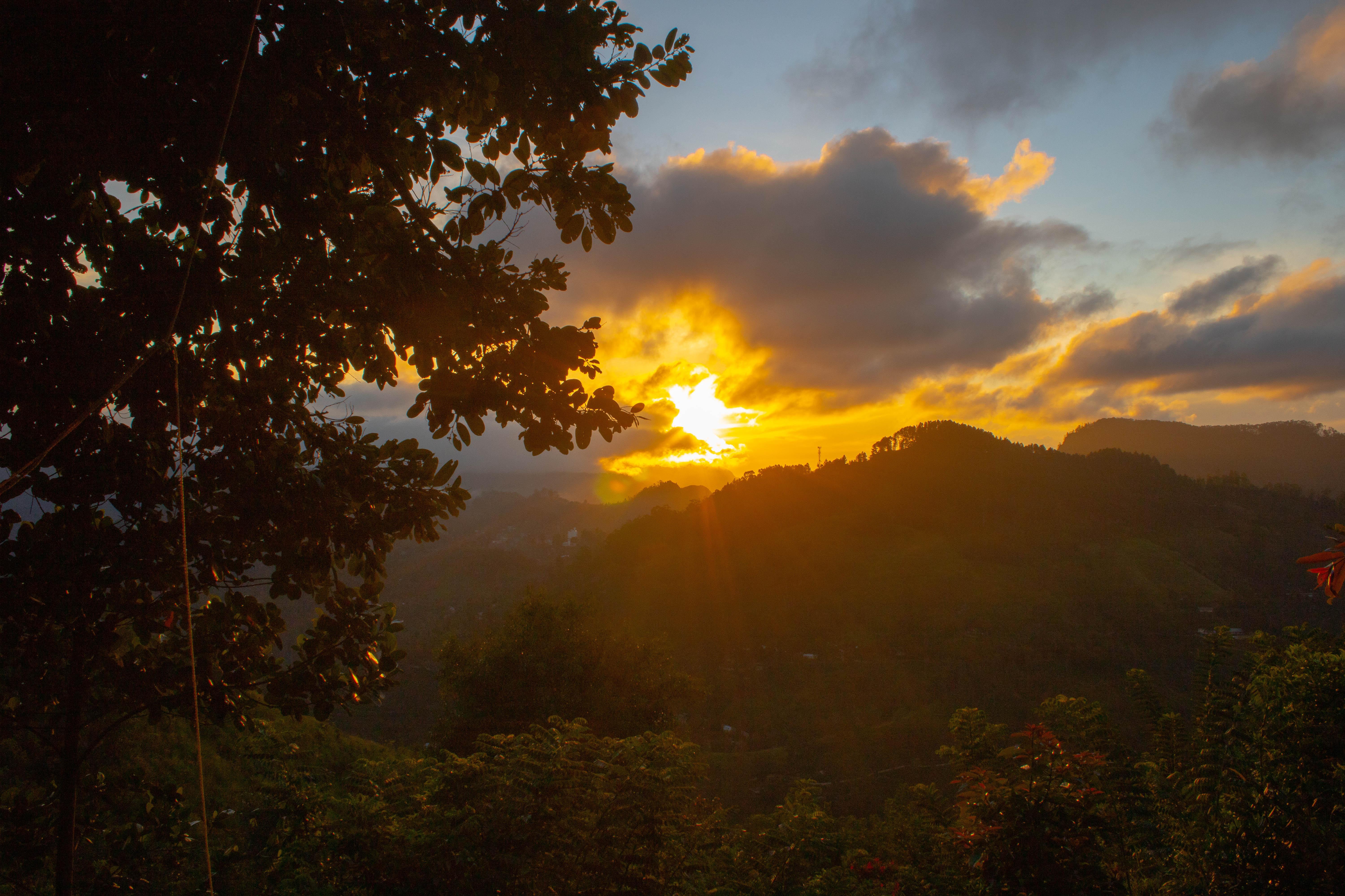 Hill Country Tea Trails — view 2