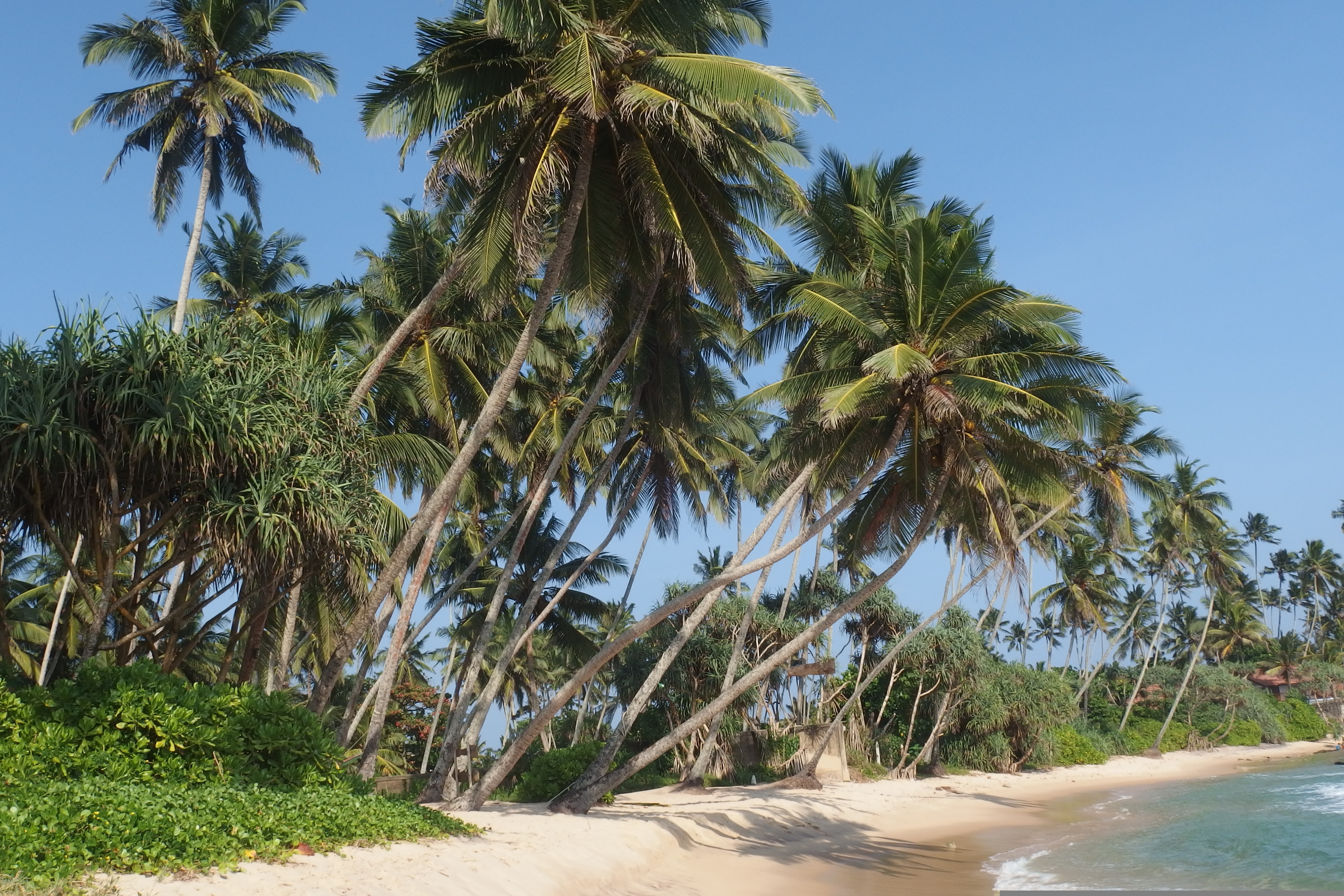 Southern coast of Sri Lanka