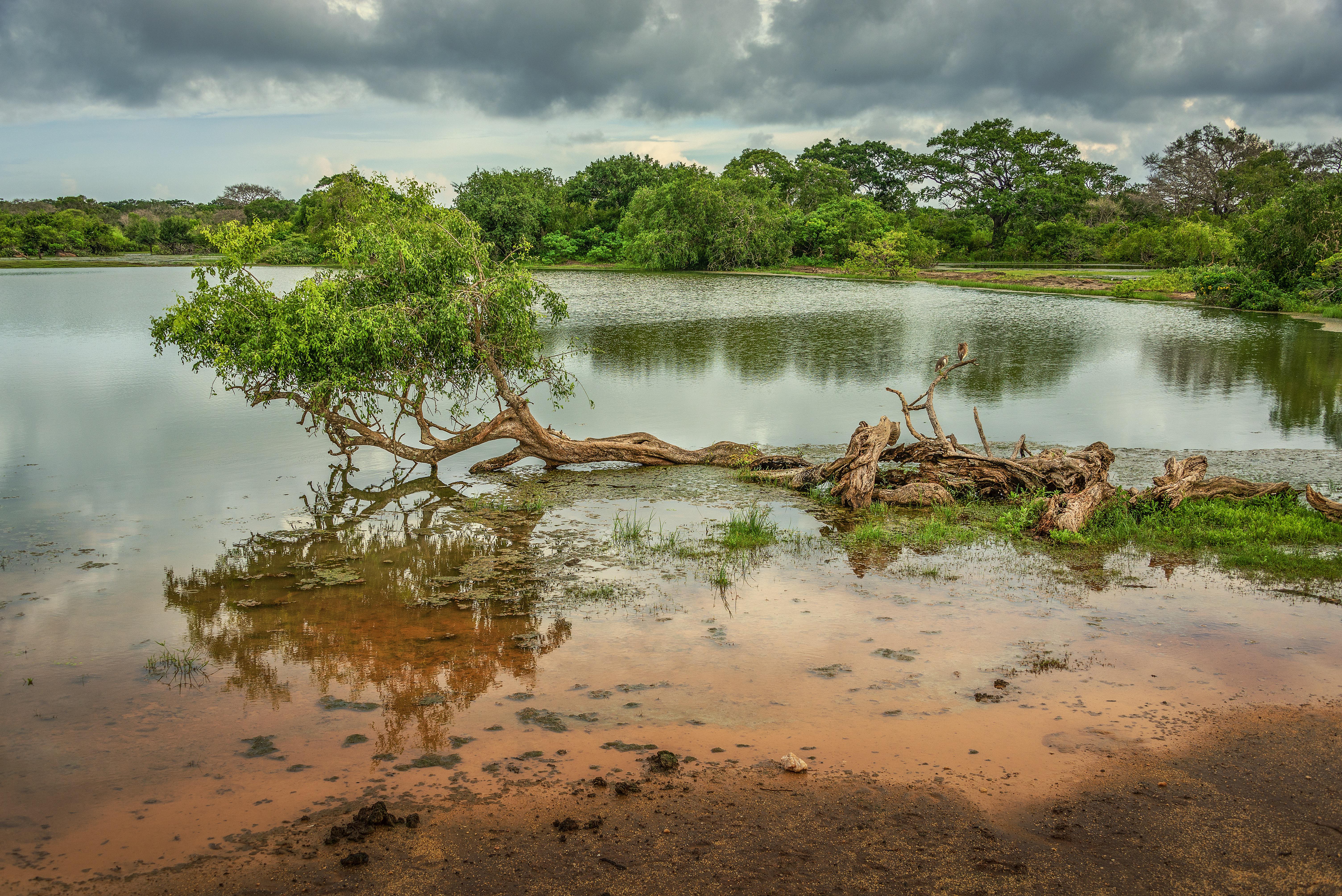 Sri Lanka Wildlife Safari — view 4