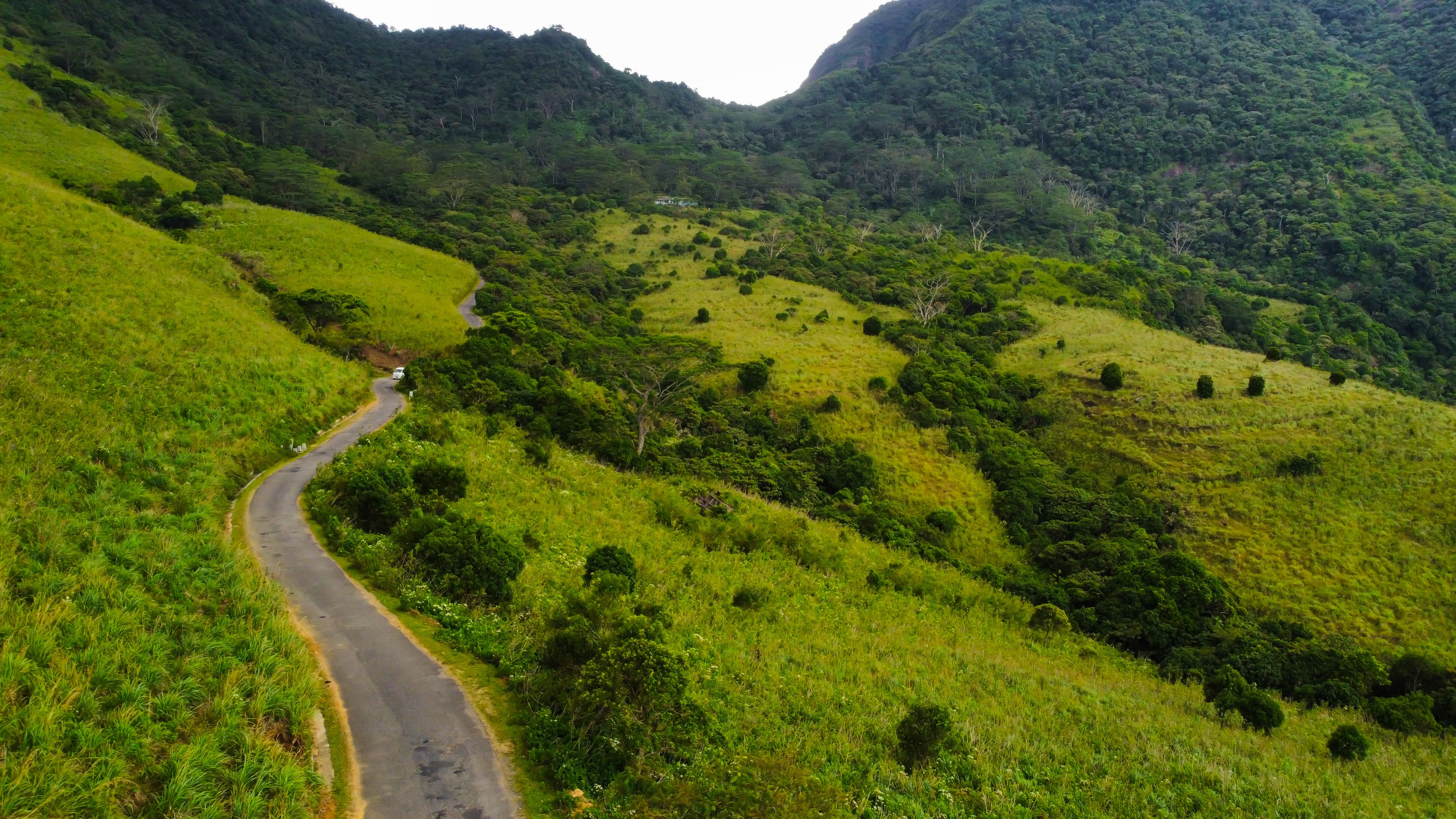 Tea Country and Train Journey — view 4